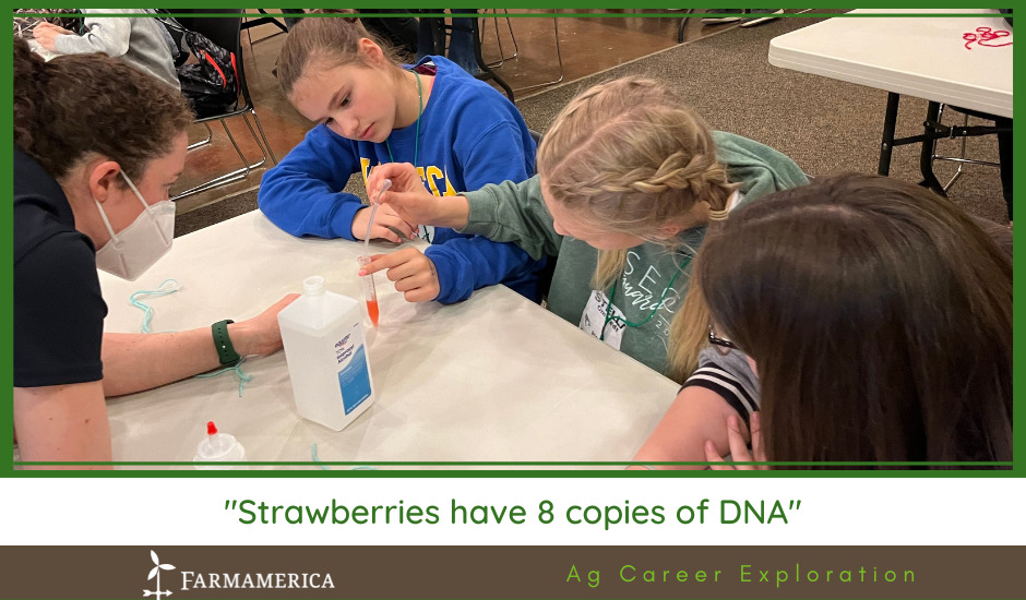 "Strawberries have 8 copies of DNA"