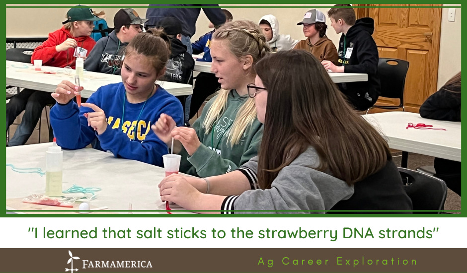 "I learned that salt sticks to the strawberry DNA strands"
